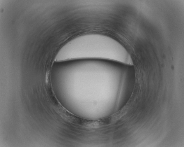 X0000062620075200512210923