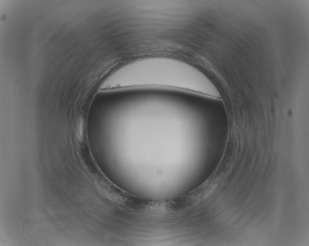X0000062620076200512210923