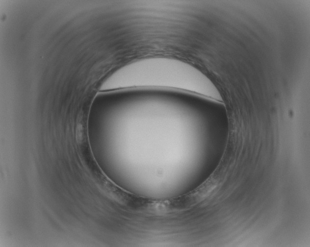 X0000062620080200512210923