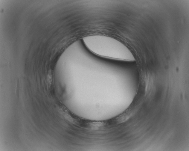 X0000062620085200512210923