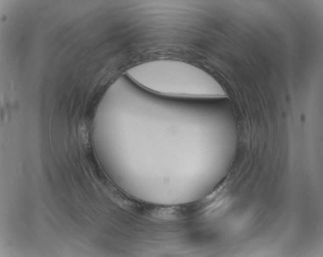 X0000062620086200512210923