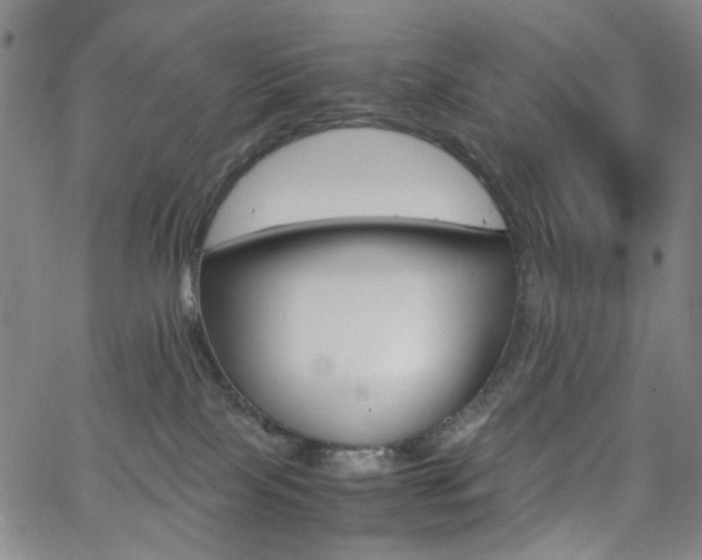 X0000062620089200512210923