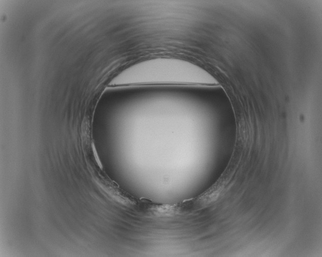 X0000062620092200512210923