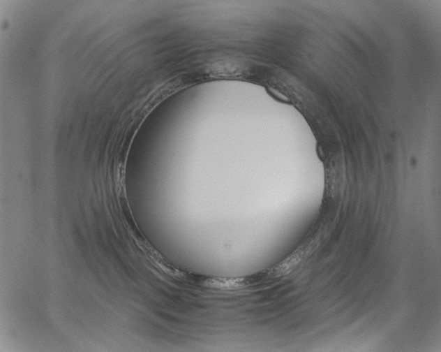 X0000062620093200512210923