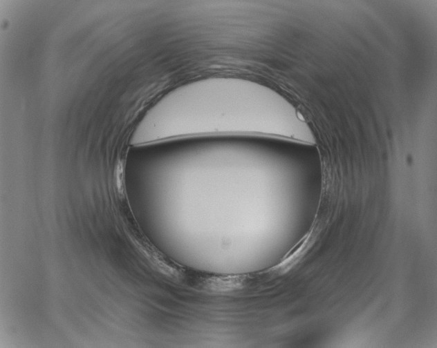 X0000062620094200512210923