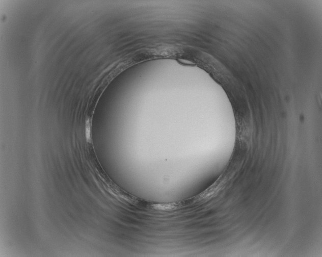 X0000062620095200512210923