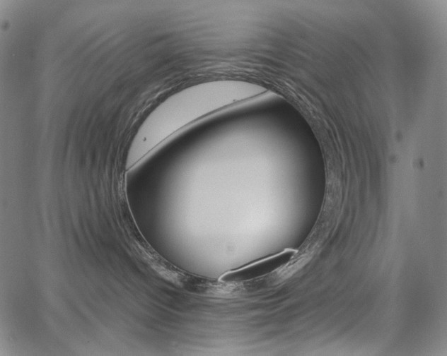 X0000062620096200512210923