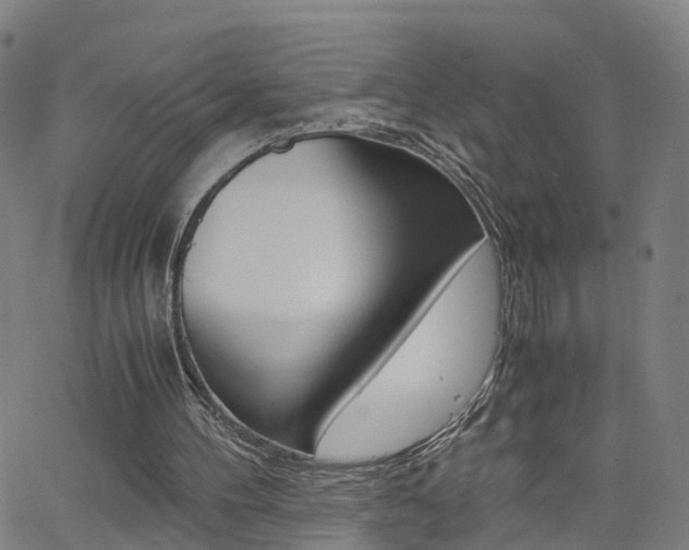 X0000062620100200512210922