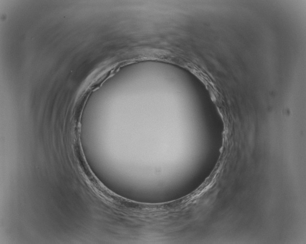 X0000062620101200512210922