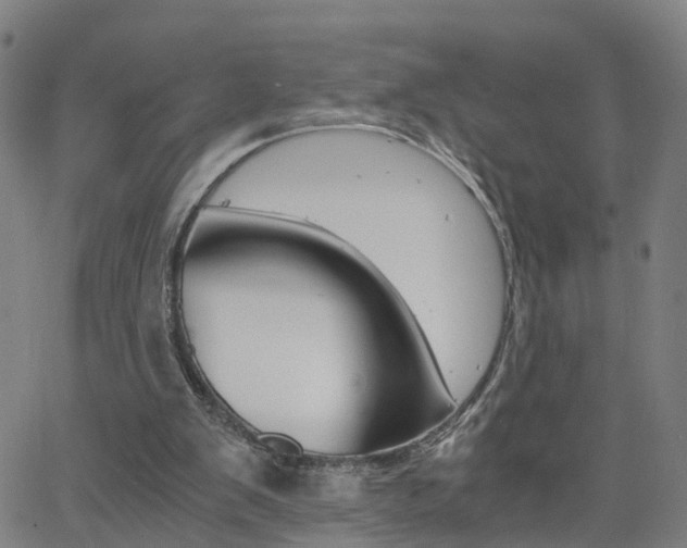 X0000062620103200512210922