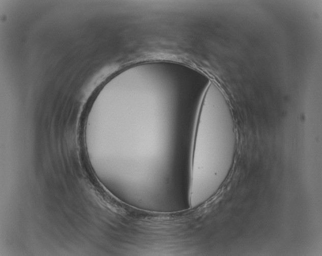 X0000062620104200512210922