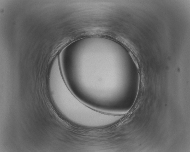 X0000062620105200512210922