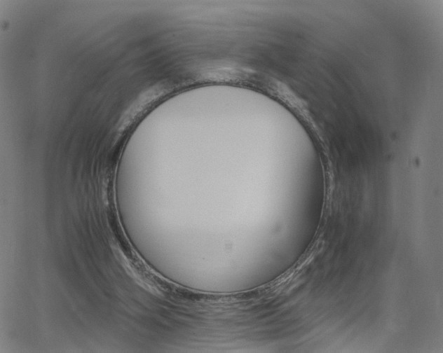 X0000062620106200512210922