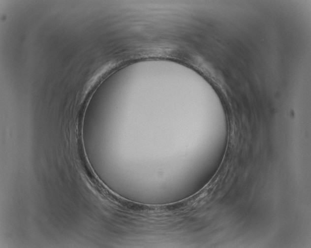 X0000062620107200512210922