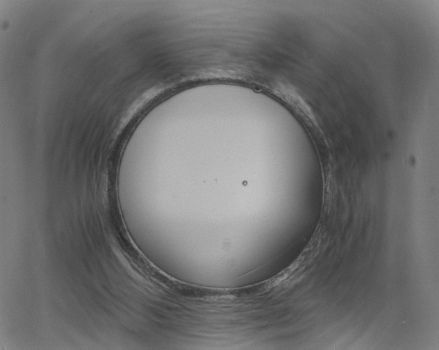 X0000062620108200512210922