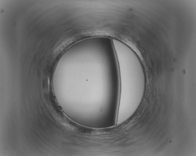 X0000062620109200512210922