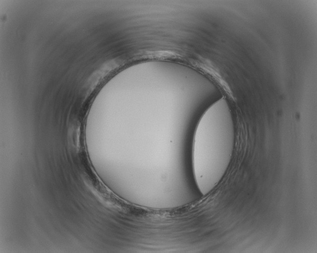 X0000062620110200512210922