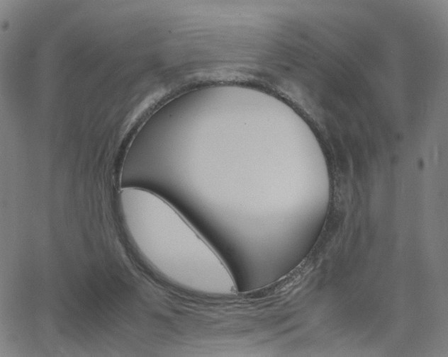 X0000062620111200512210922
