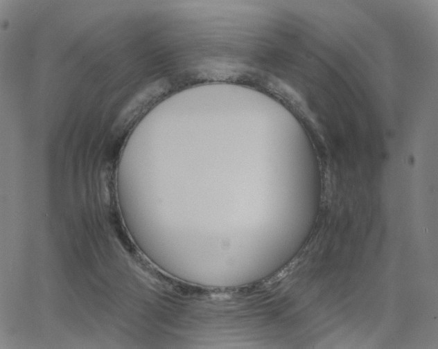 X0000062620114200512210922