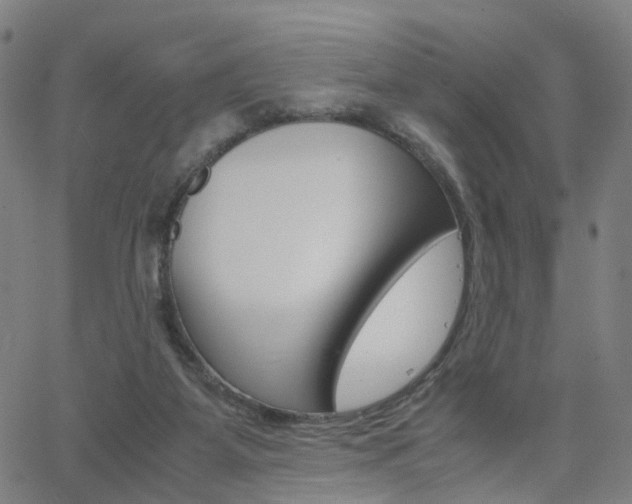 X0000062620115200512210922