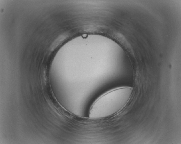 X0000062620116200512210922