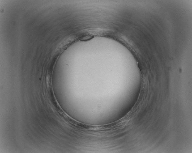X0000062620117200512210922