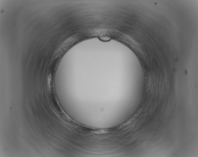 X0000062620118200512210922