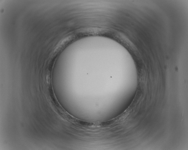 X0000062620119200512210922