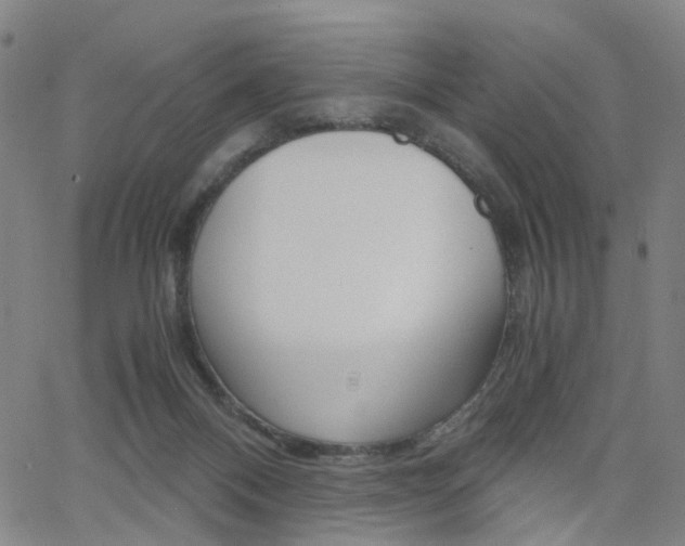 X0000062620120200512210922