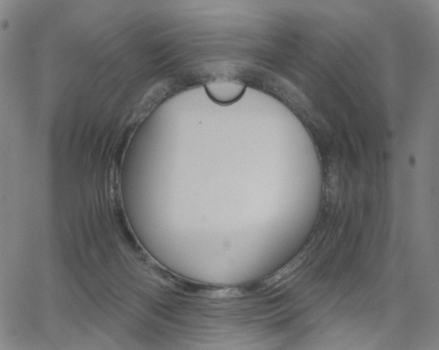 X0000062620122200512210922