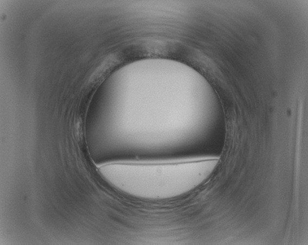 X0000062620123200512210922