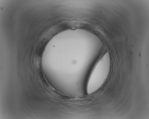 X0000062620125200512210922