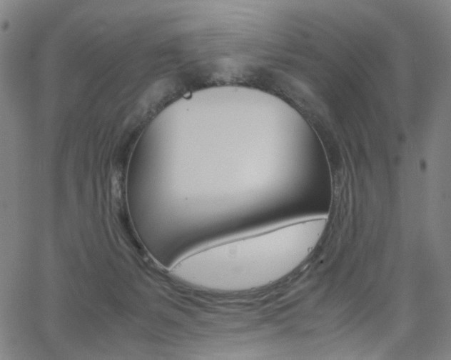 X0000062620127200512210922