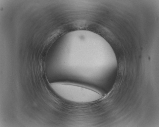 X0000062620128200512210922