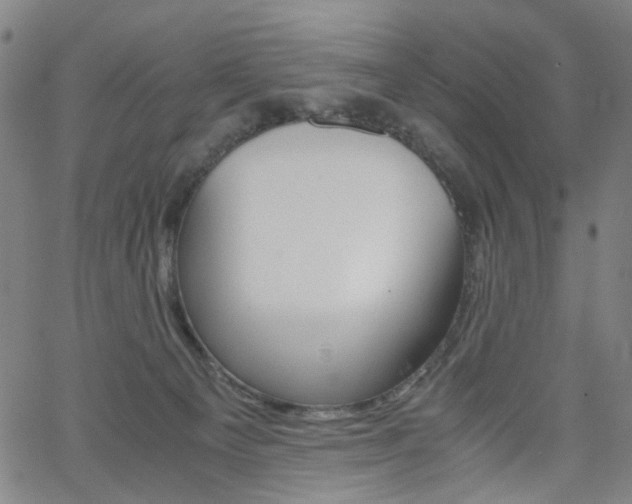 X0000062620129200512210922