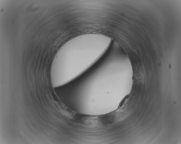 X0000062620132200512210922