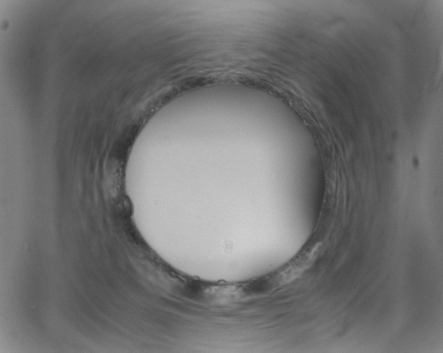 X0000062620133200512210922