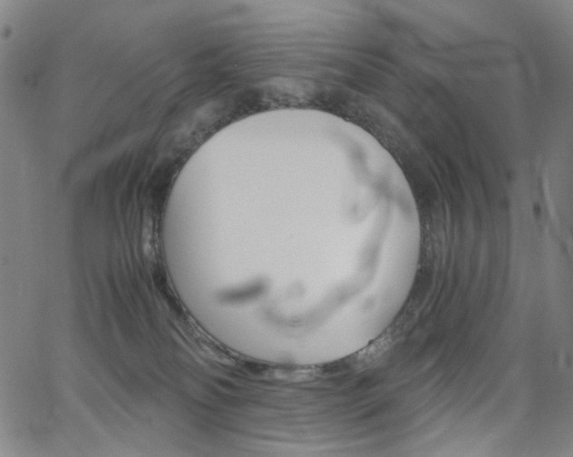 X0000062620134200512210922
