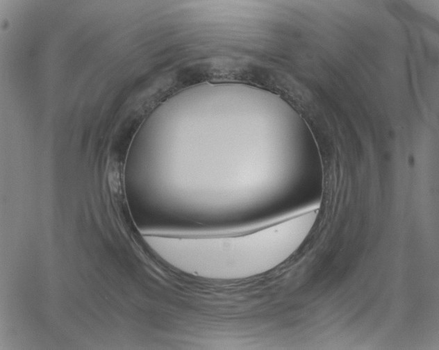 X0000062620137200512210922