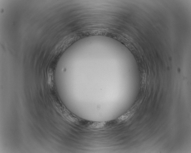 X0000062620138200512210922