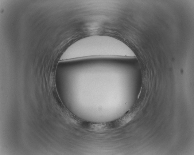 X0000062620139200512210922