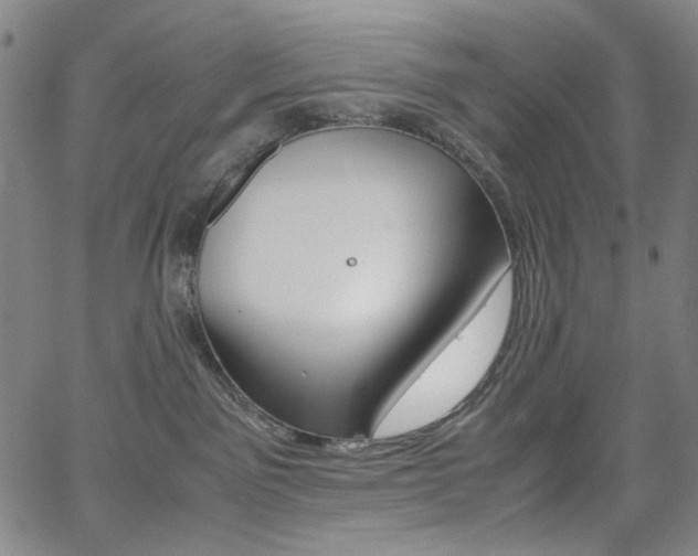 X0000062620141200512210922