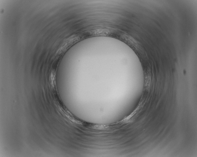 X0000062620142200512210922