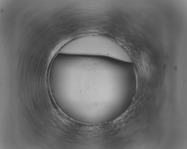X0000062620147200512210921