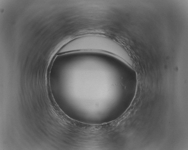X0000062620148200512210921