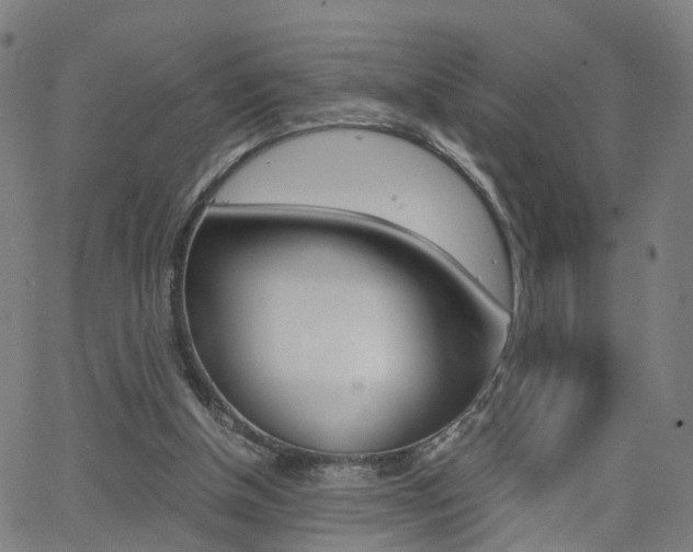 X0000062620154200512210921