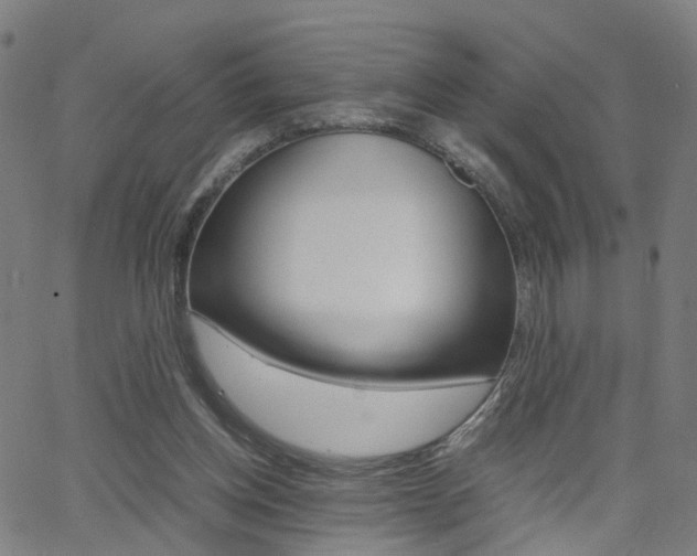 X0000062620158200512210921