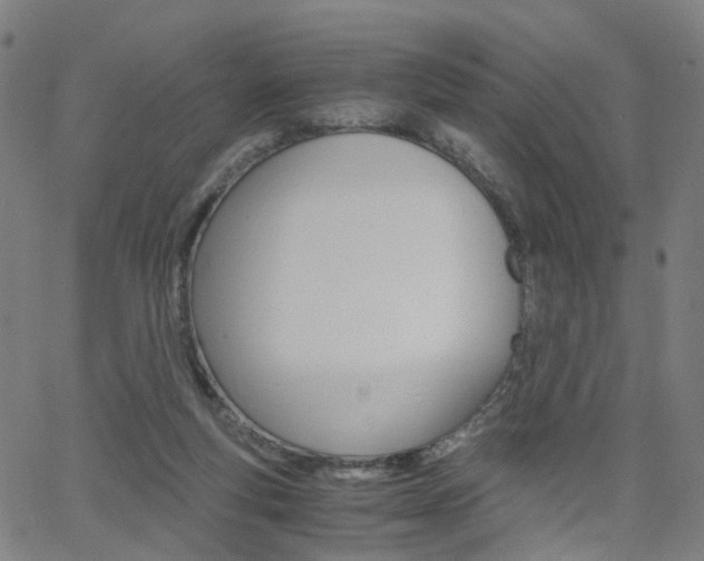 X0000062620163200512210921