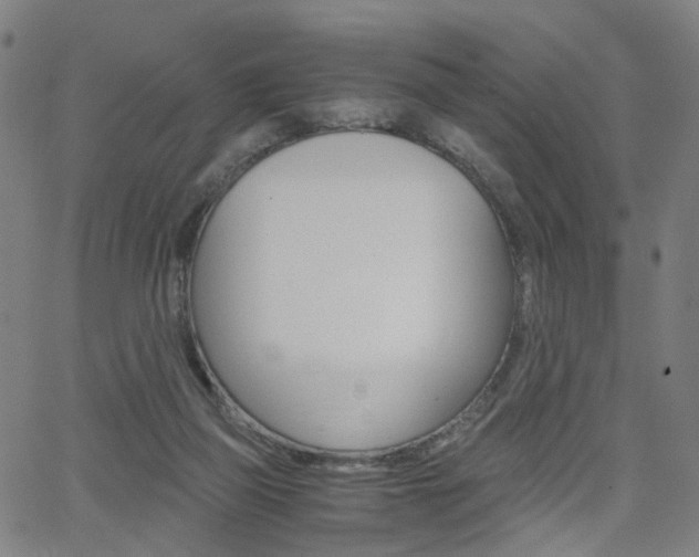 X0000062620165200512210921