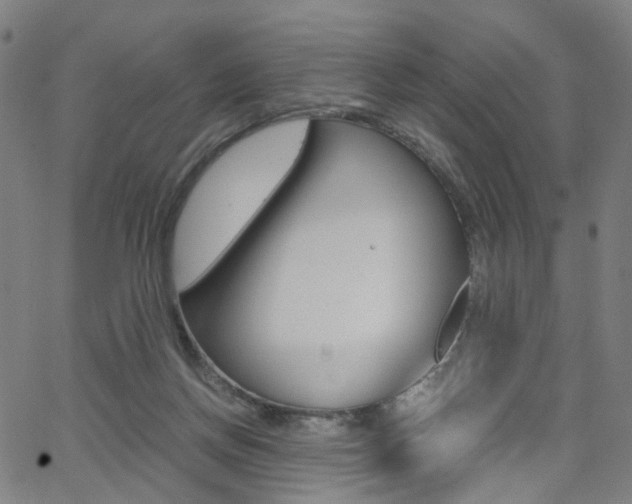 X0000062620166200512210921